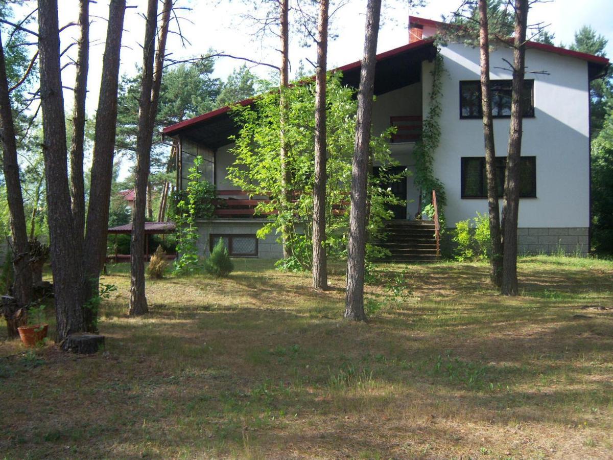 Forest Villa Susiec エクステリア 写真