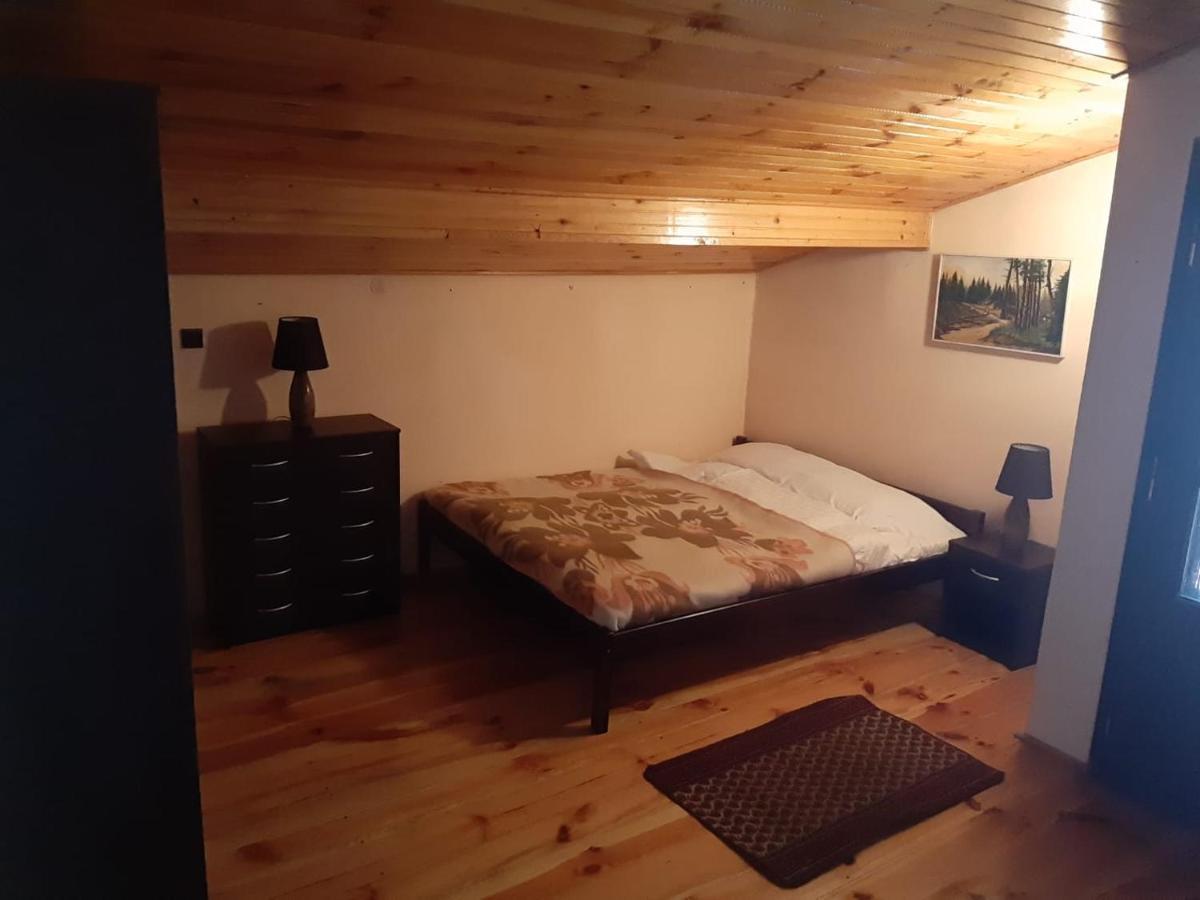 Forest Villa Susiec エクステリア 写真